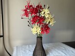 籐の花　ヒガンバナの画像