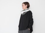 秋のお出かけセット 5 /  Sanada blouse black and  Frame stoleの画像