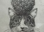 猫　銅版画　額入りの画像