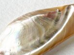 世界で最も美しい真珠層！一点物の高瀬貝のファーストマザーリップで作った、ペンダント※紐フリーサイズの画像
