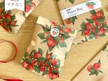 ヒメリンゴのミニ平袋〈5枚入〉ぽち袋 お年玉 封筒 マチなし紙袋 ペーパーバッグ ギフト ラッピング 林檎 おしゃれ