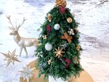 プリザーブドグリーンのクリスマスツリー（シルバー系ボール）　/プリザーブドフラワー/クリスマス/インテリア/冬支度　の画像