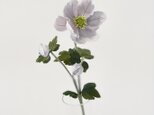 布花　飾れるシュウメイギクの花一輪。試験管タイプの容器付き。秋冬新作2023　新色新柄2023の画像