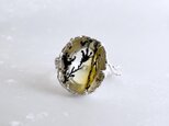 Dendritic Quartz Ringの画像