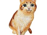 アップリケワッペン キャット おねだり猫 W-0901 UI キャット ねこ トラ猫 とらねこ