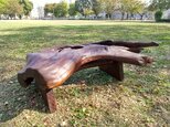 Artistic Driftwood Bench or Display Tableの画像