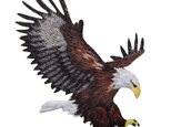 アップリケワッペンハンティング イーグル 鷲 1016　野鳥 バード　鳥　とりの画像
