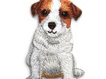 アップリケワッペン ベビードッグ　ジャックラッセルテリア犬　UI　w-1888の画像