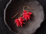 【K14gf・受注制作】Redcoral Earrings／赤珊瑚のプチピアス（Short）の画像