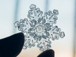 雪、ついてるよ　no.13 雪の結晶　ピンブローチ　樹枝結晶の画像