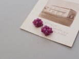 puchipuchi pierce　ルビーの画像