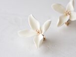 Gardenia Stud【カスタムオーダー】※案内されたお客様のみご購入くださいの画像