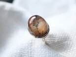[botanical artのdendric quartz]ringの画像