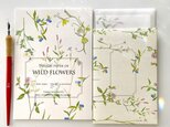 Wild Flowers　道端の花たちの便箋　上質紙版の画像