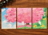 大きな桜の木とウサギさん (ポストカード3枚入り)
