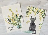 ポストカード2枚セット・水彩「ミモザブーケ」「ミモザと猫」の画像