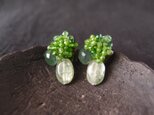 【天然石刺繍／ピアス】Green Kyanite × Garnet × Chromediopside × Serpentineの画像