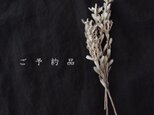ご予約品・M様【天然石刺繍／イヤリング】Malachite × Pearl × Black Spinelの画像