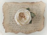 〈染め花〉イングリッシュローズのコサージュ（中輪カップ咲・オフホワイト)の画像