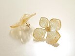 ヤマアジサイのピアス【M】ナチュラル 14KGF