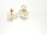 ヤマアジサイのピアス【S】ホワイト 14KGFピアス
