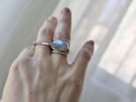[アゲハ蝶のlabradorite]ringの画像