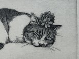 猫　銅版画　額入りの画像