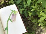 本革 花 ヤマホタルブクロ ブックマーク