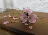桜のかんざし　「花衣」の画像
