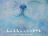 絵本『ねこはねこのゆめをみる』の画像