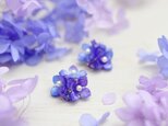 【ピアス】ガクアジサイ(額紫陽花) パープル系