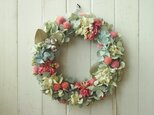 フランネルフラワーとストックのリース