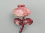 【小さな小さな赤い花】ロードクロサイトの画像