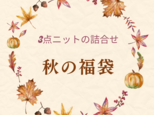 秋物先取り！わくわくお得なニットの詰合せ3枚セットの画像