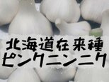 [農家直送]希少 北海道在来種ピンクニンニク１０球(栽培期間、農薬･化学肥料･除草剤不使用)の画像