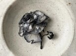 『モノトーンの洒落薔薇』の画像