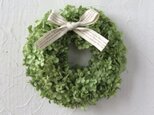 (再販）annabell's wreathの画像