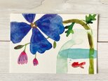ポストカード2枚セット・水彩「花と金魚」