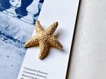 SC82-ヴィンテージブローチ・U.S.A. 1970〜80s Gold Tone Starfish Pin Broochの画像