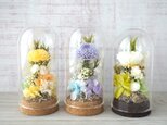 色が選べるお供え花  -ガラスドーム(S)-　