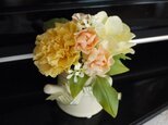 母の日ギフト(カーネーション)NO.2の画像