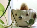 眠たげな犬 サボテン 植木鉢