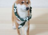【オーダー】羊毛フェルト　柴犬の画像