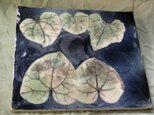 野草葉脈紋　板皿の画像