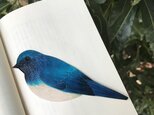 再販 本革 鳥 おおるり ブックマーク