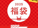 2025HAPPY BAG 新春福袋　大人気のカーディガン１点とニット2点福袋