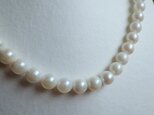 ラスト！あこや(7mm)パールネックレスMN0314-007