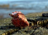 ローゾフィア　愛と目覚めの流れ・・・　”世界の魂”　ソフィアとの出逢いの画像