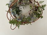 春を待つリース　鳥の巣(紫陽花)
