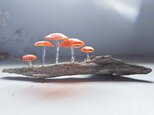 ガラスのキノコ　置物　オブジェ　オレンジ5本の画像